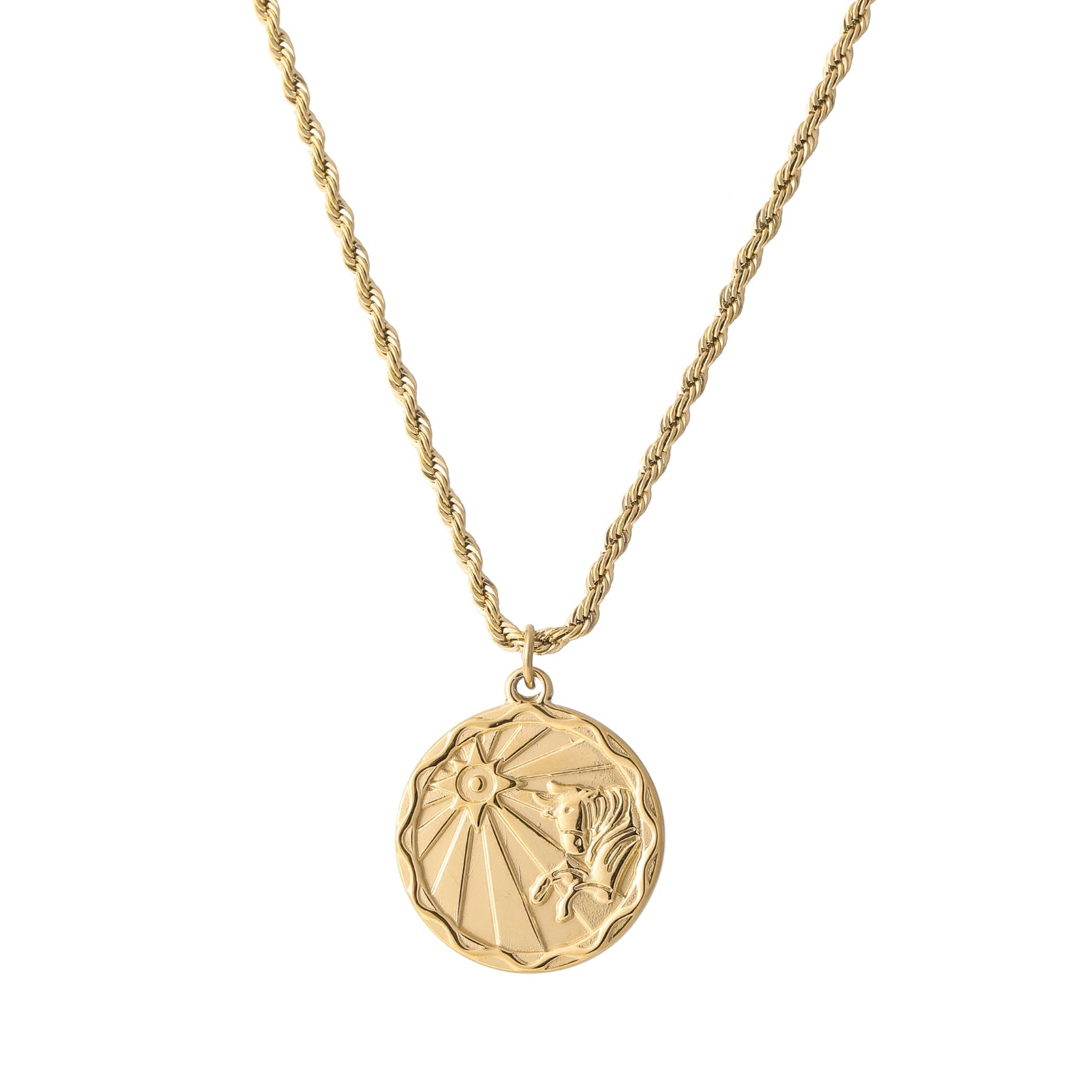 Zodiac Coin Necklace w/ Rope Chain | Necklaces by DORADO