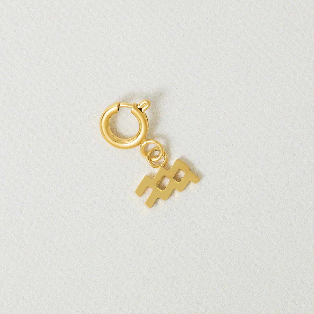 Zodiac Sign Charm